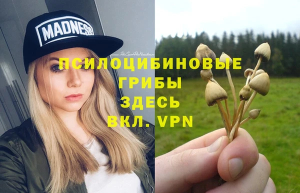 крисы Бронницы